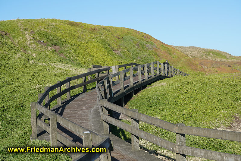 bridge,path,wood,landscape,green,blue,nature,hike,empty,stroll,postcard,empty,